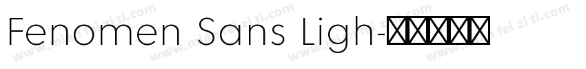 Fenomen Sans Ligh字体转换